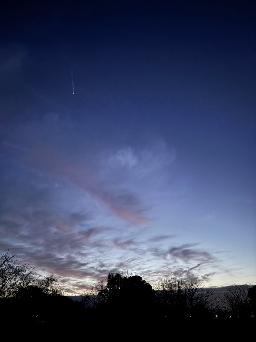 toshi。 tweet media