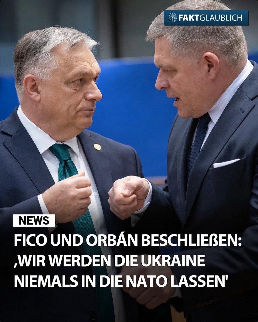 Rico Brick tweet media