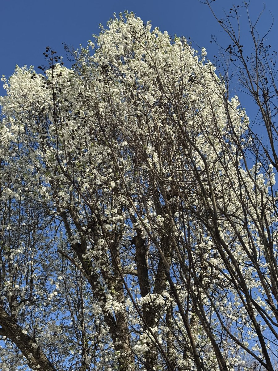 steph (#1 hägg stan) tweet media