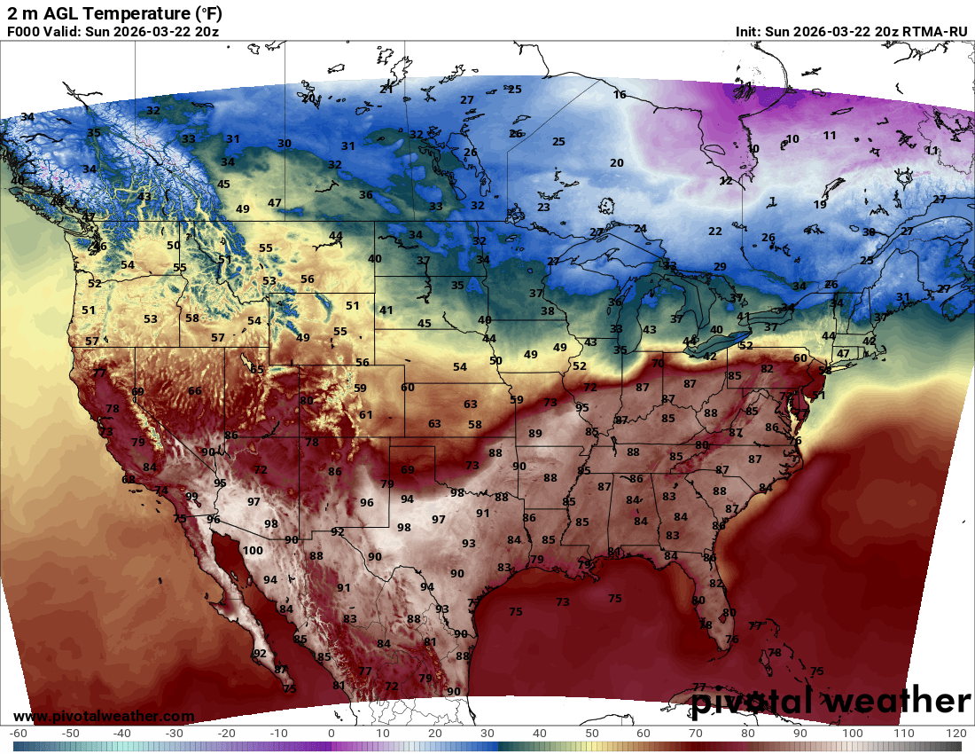 Mike Zaccardi, CFA, CMT 🍖 tweet media