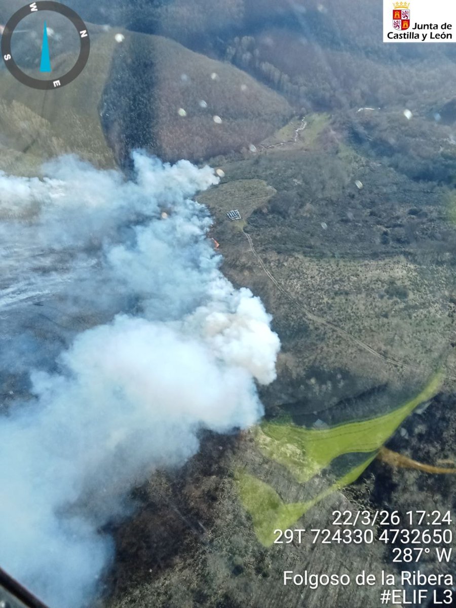 Naturaleza Castilla y León tweet media