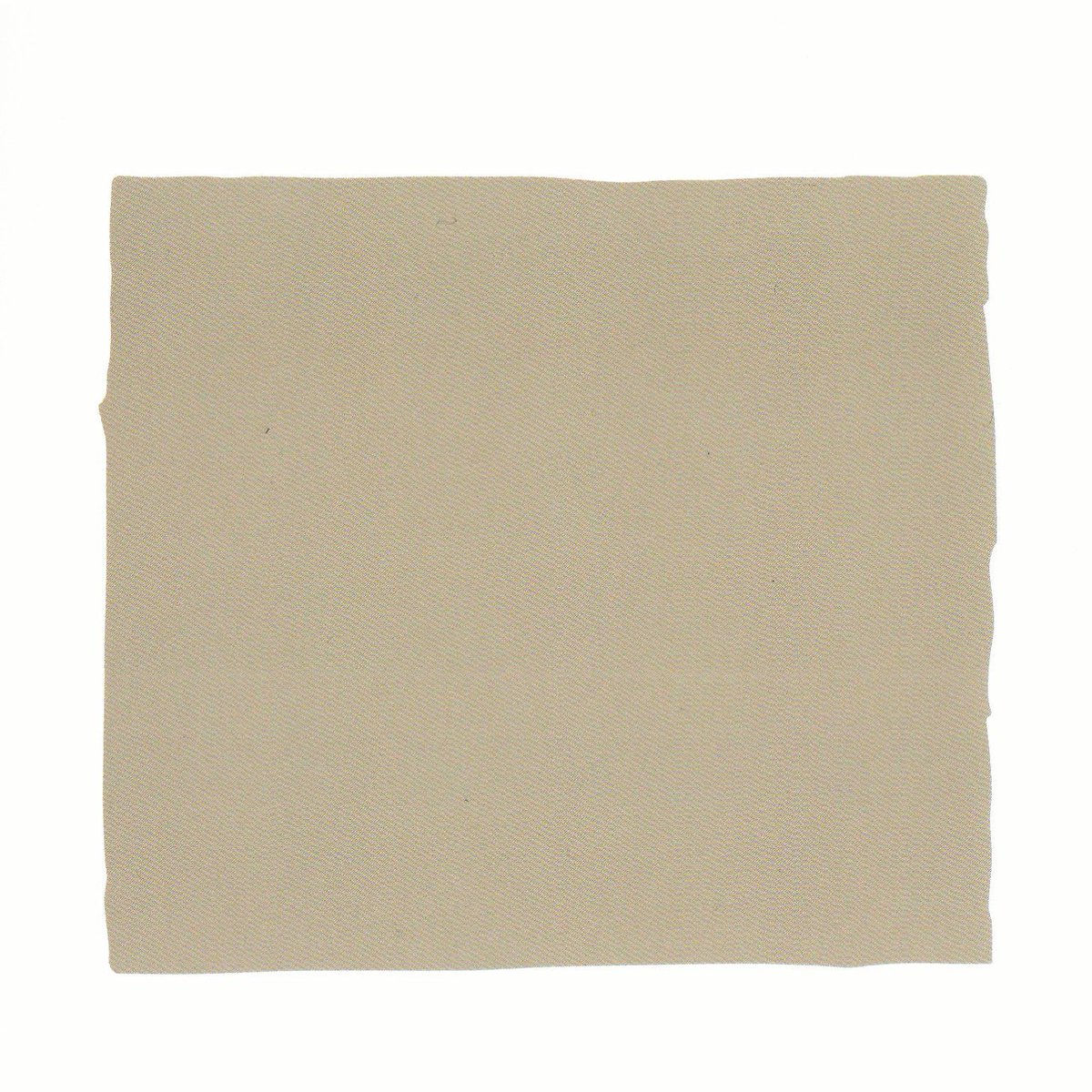 the stella tweet media