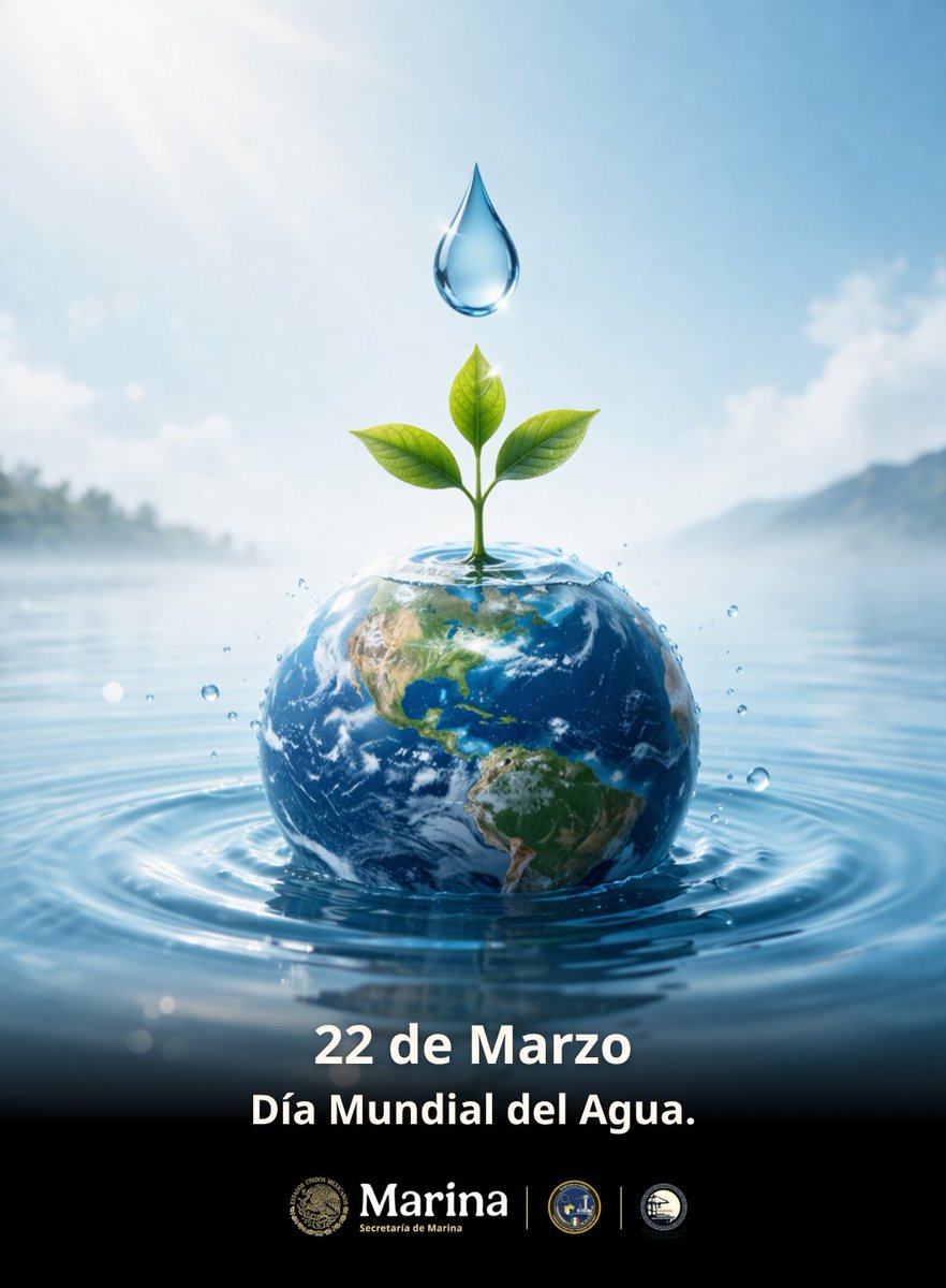 ASIPONA Tampico tweet media