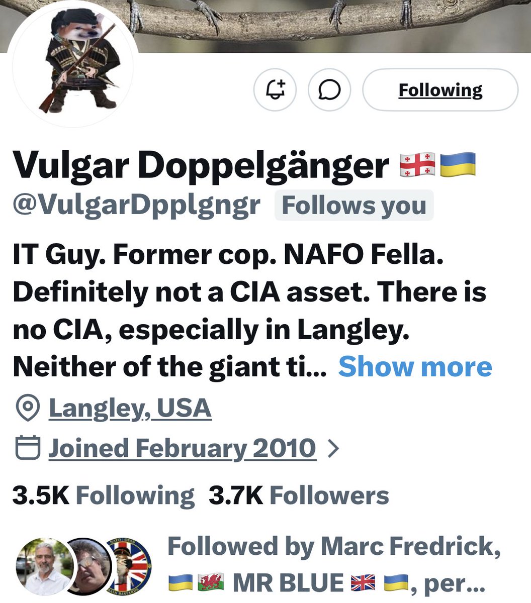 Welcome <a href="/VulgarDpplgngr/">Vulgar Doppelgänger 🇬🇪🇺🇦</a>!  

IT guy, ex-cop, proud NAFO Fella 🇬🇪🇺🇦, savage sarcasm against Russian propaganda, Georgian Dream BS, tankies, and fake dignity from Orbán bootlickers. Sharp, unfiltered takes calling out threats to democracy—no mercy for vatniks! 

🐾Follow 💙 🚀Repost