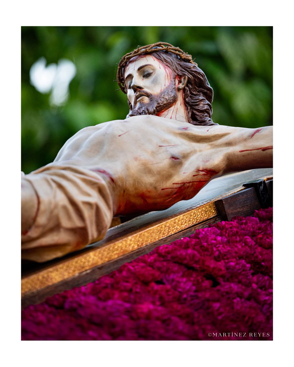 El que cree en mí, aunque haya muerto, vivirá.

36/40

#SSantaMurcia