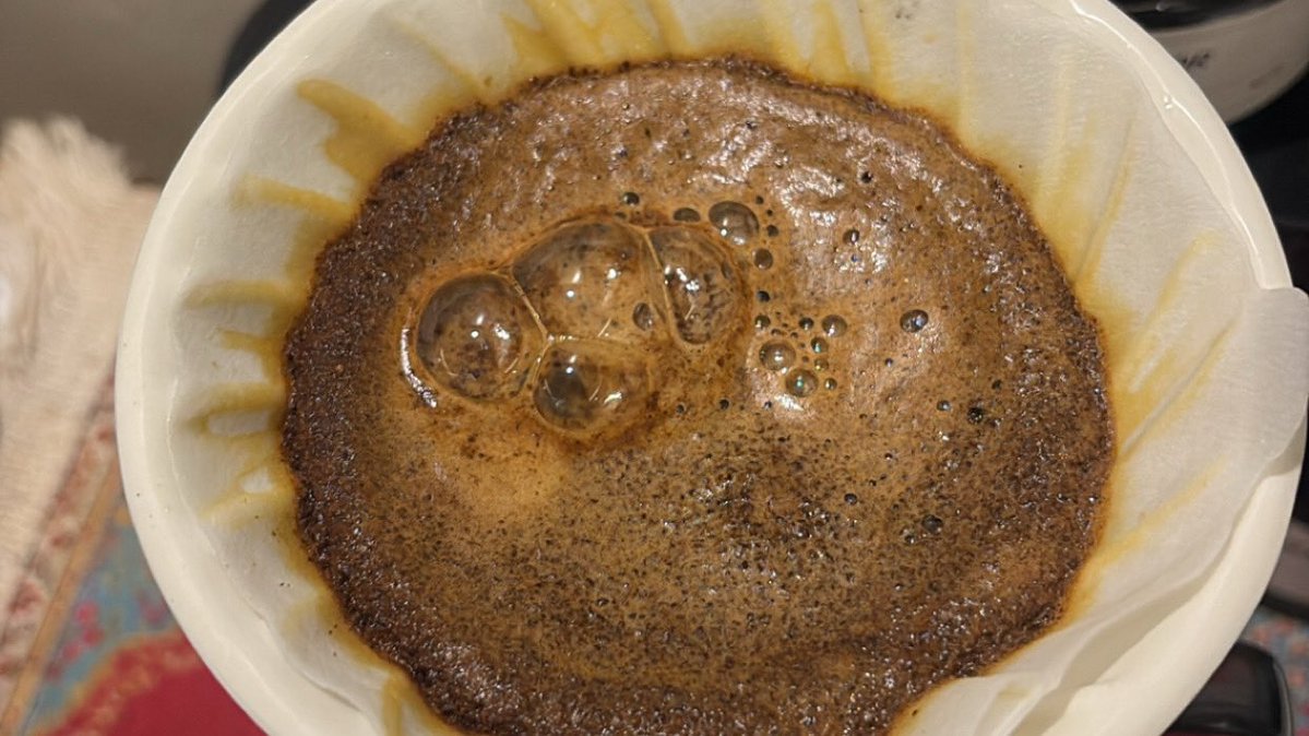 MK 🇸🇦 tweet media