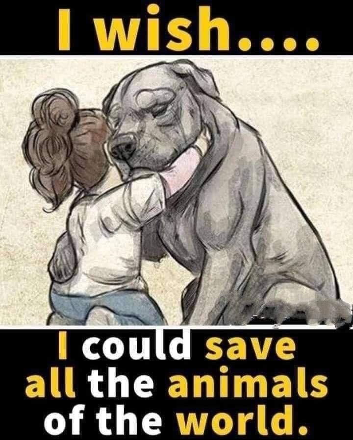 So Do I  ...
______________