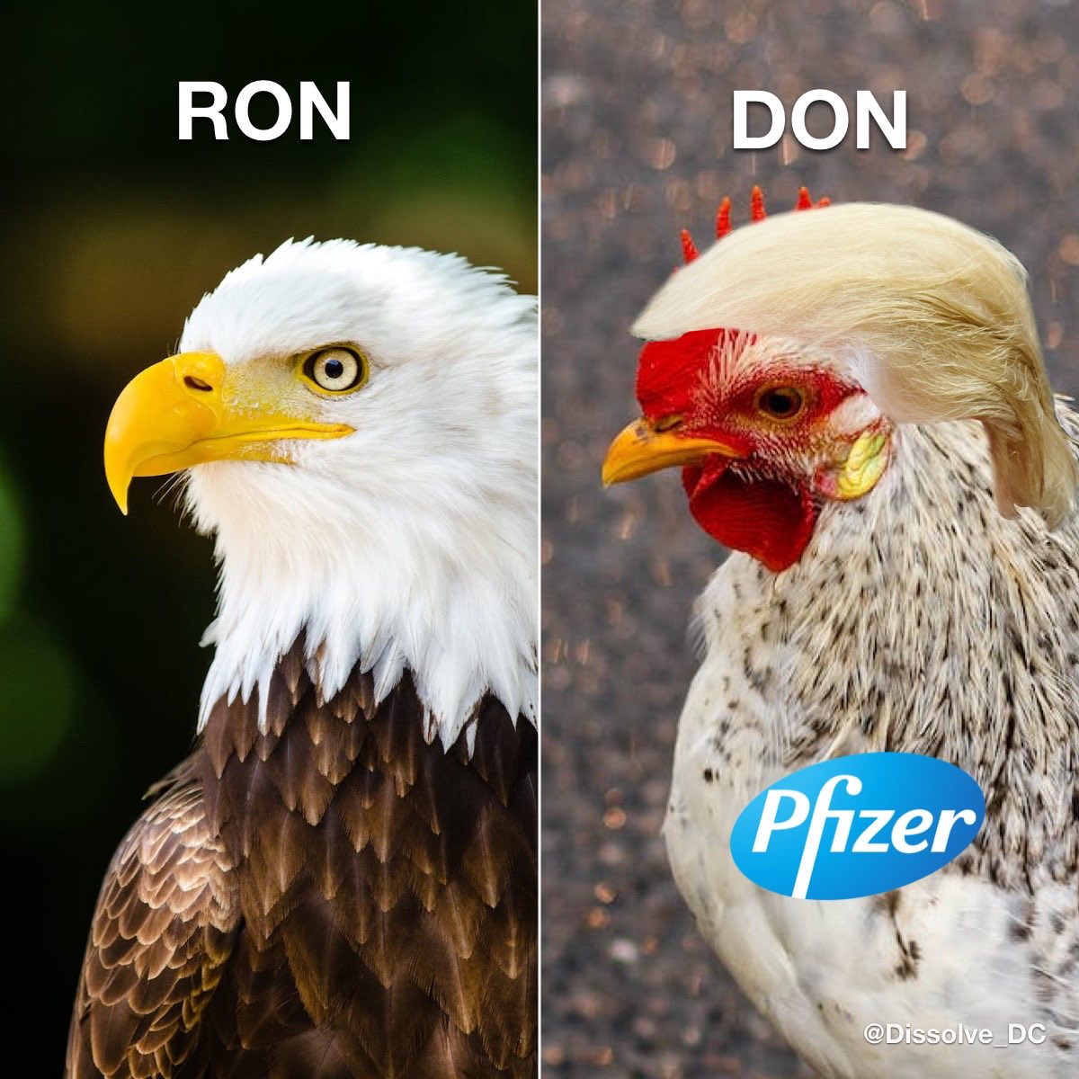 LFGEAUX/21M tweet media