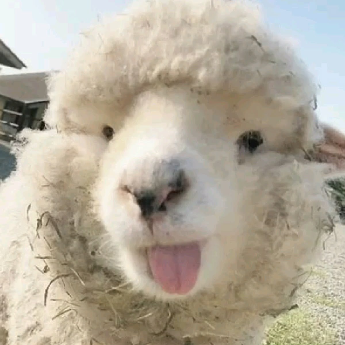 ♡ moon ♡ tweet media