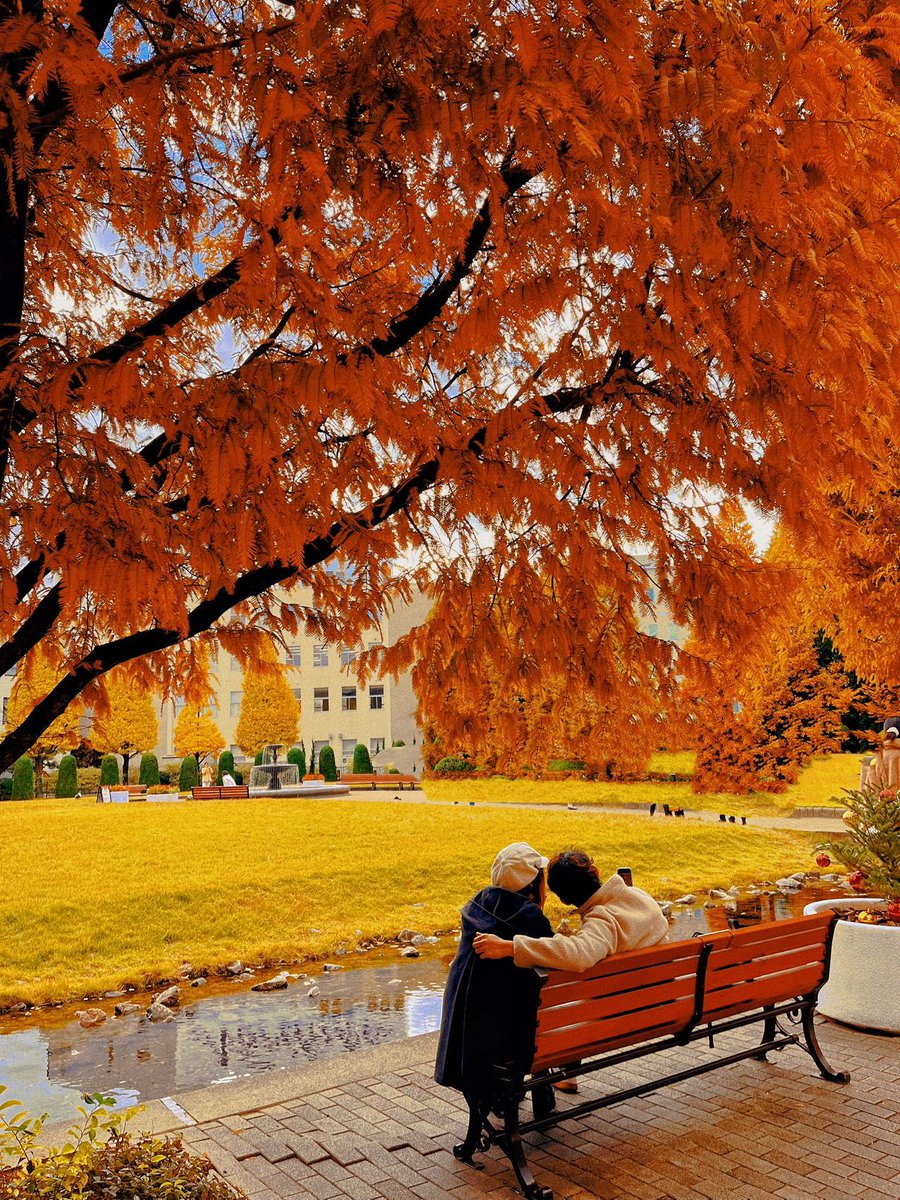 cameron Eclipse tweet media