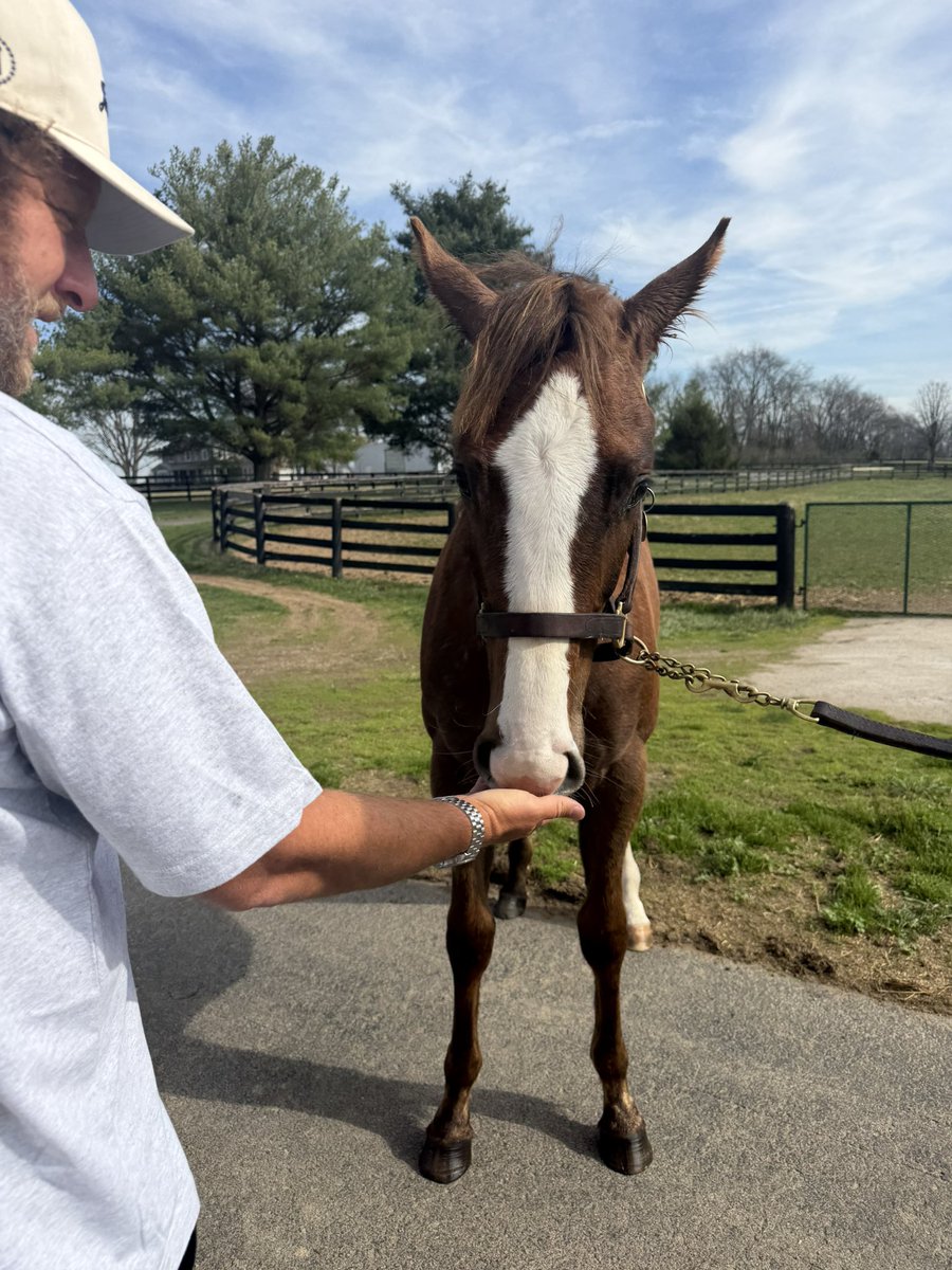 Dave Portnoy tweet media