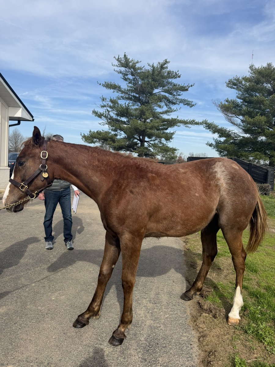 Dave Portnoy tweet media