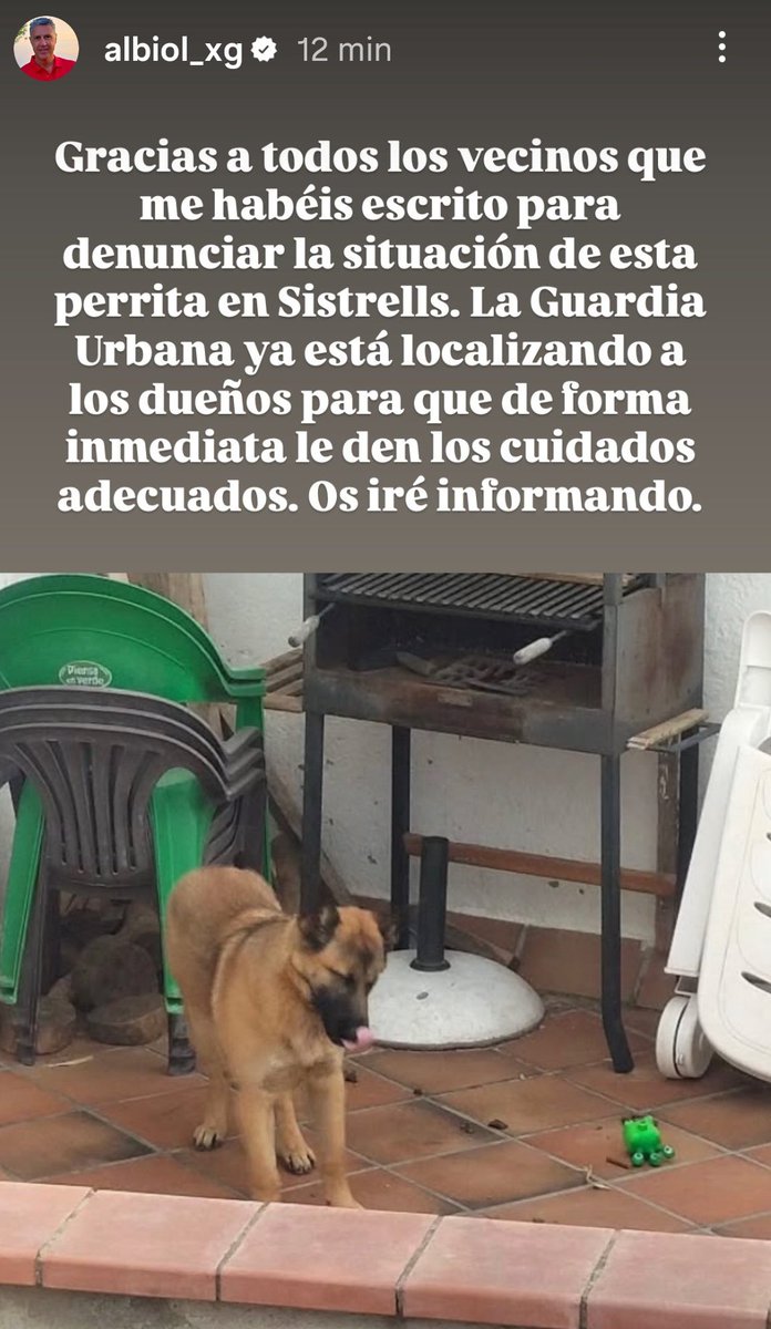 Rosa Trenado 🌍🐕 tweet media