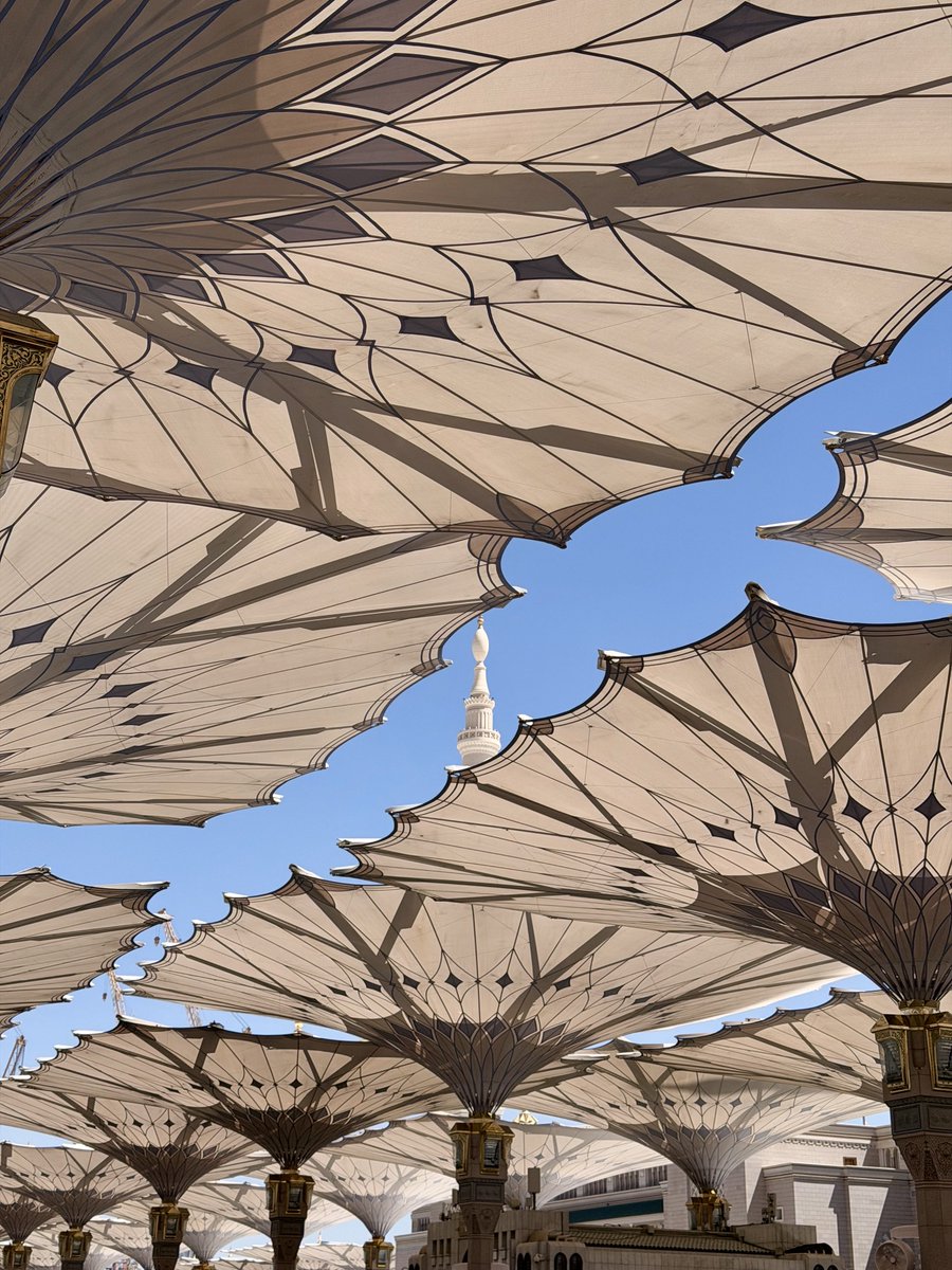 محمد | Purple tweet media