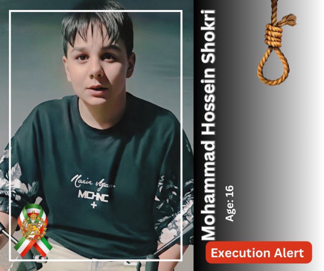 Sarah Fields tweet media