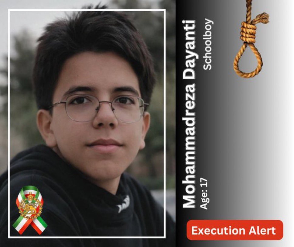 Sarah Fields tweet media