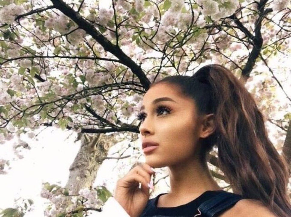 bê ☀️ tweet media