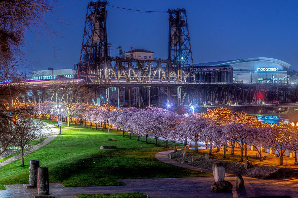 greendew23 tweet media