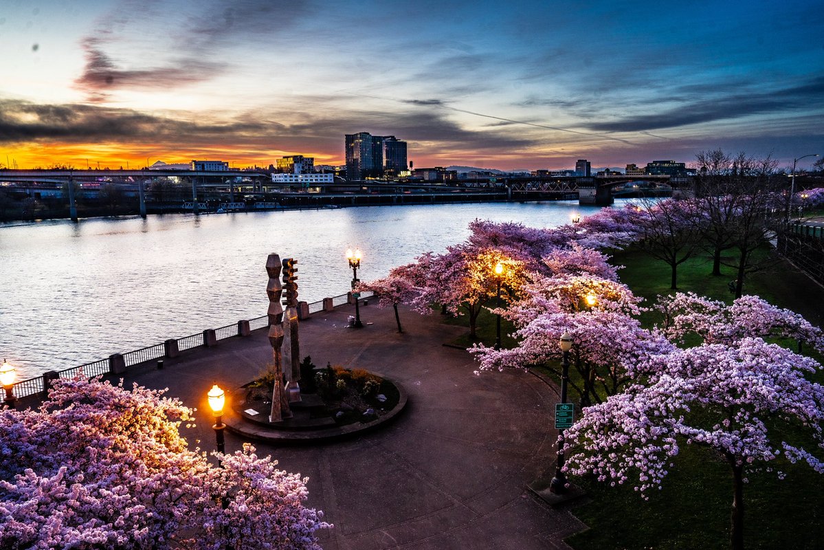 greendew23 tweet media