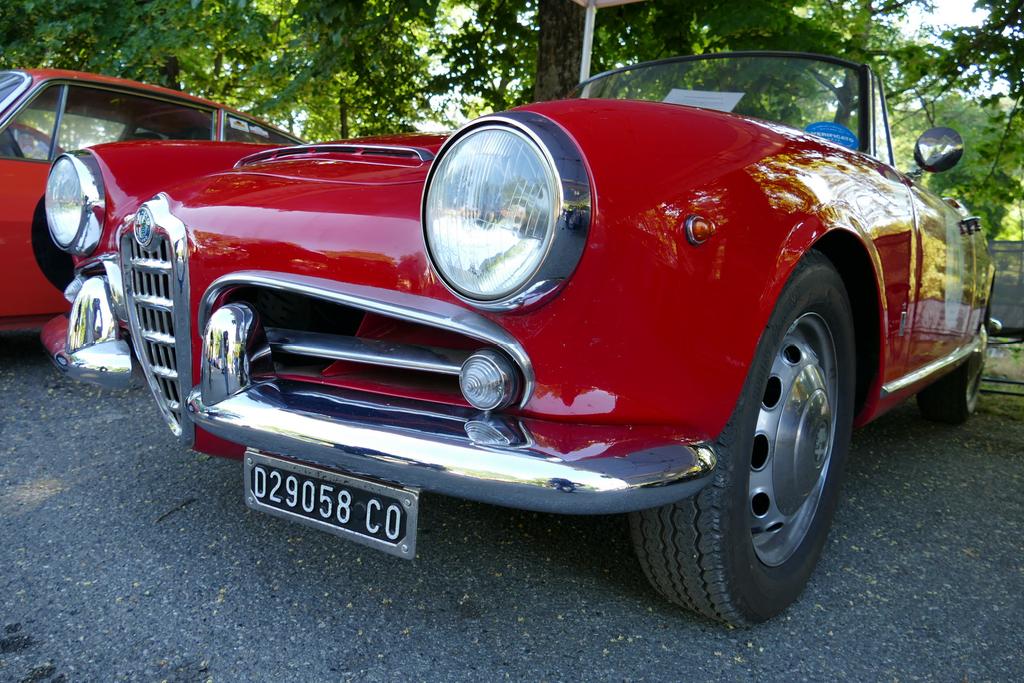 PRIMO 34004 RACING PHOTOS & VIDEOS tweet media