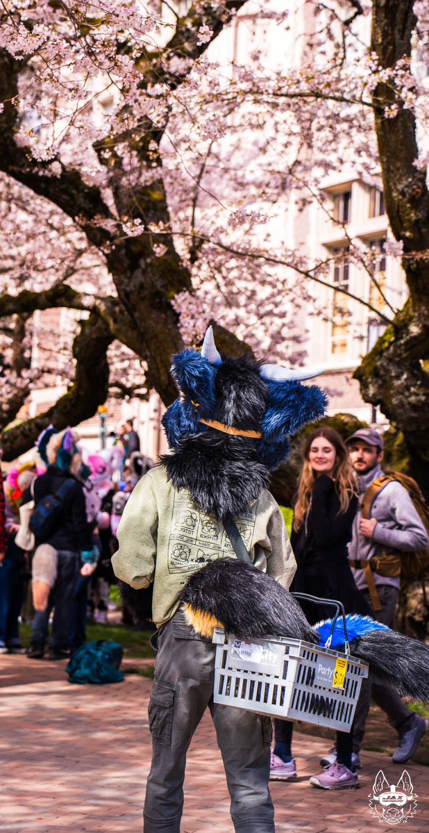 Jax The Shep 🔜 LVFC tweet media