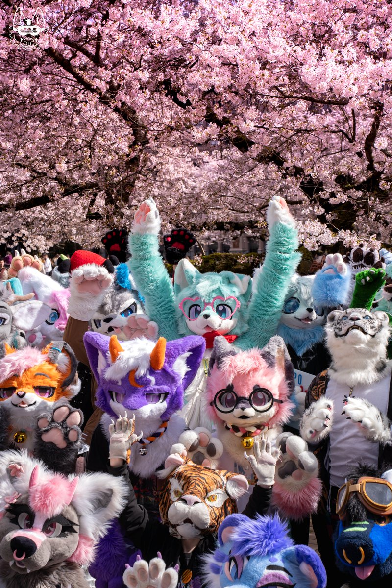 Jax The Shep 🔜 LVFC tweet media