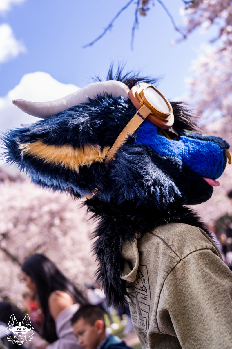 Jax The Shep 🔜 LVFC tweet media