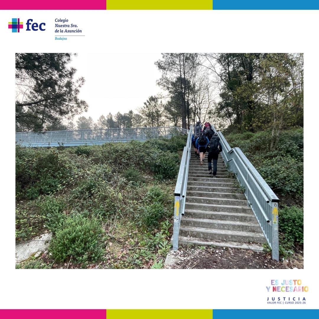 Ntra.S. Asunción FEC tweet media