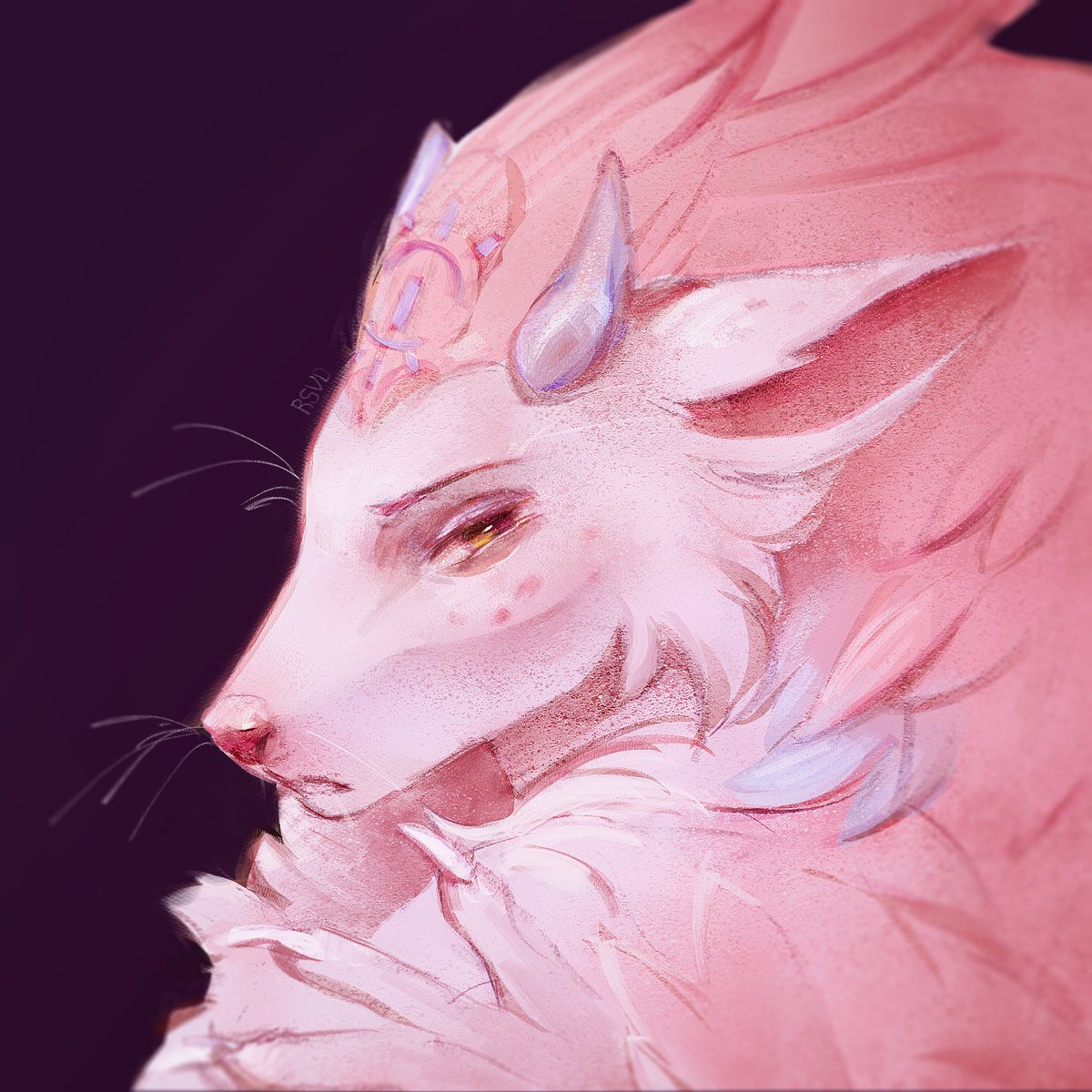 RSVD|Cmms open tweet media