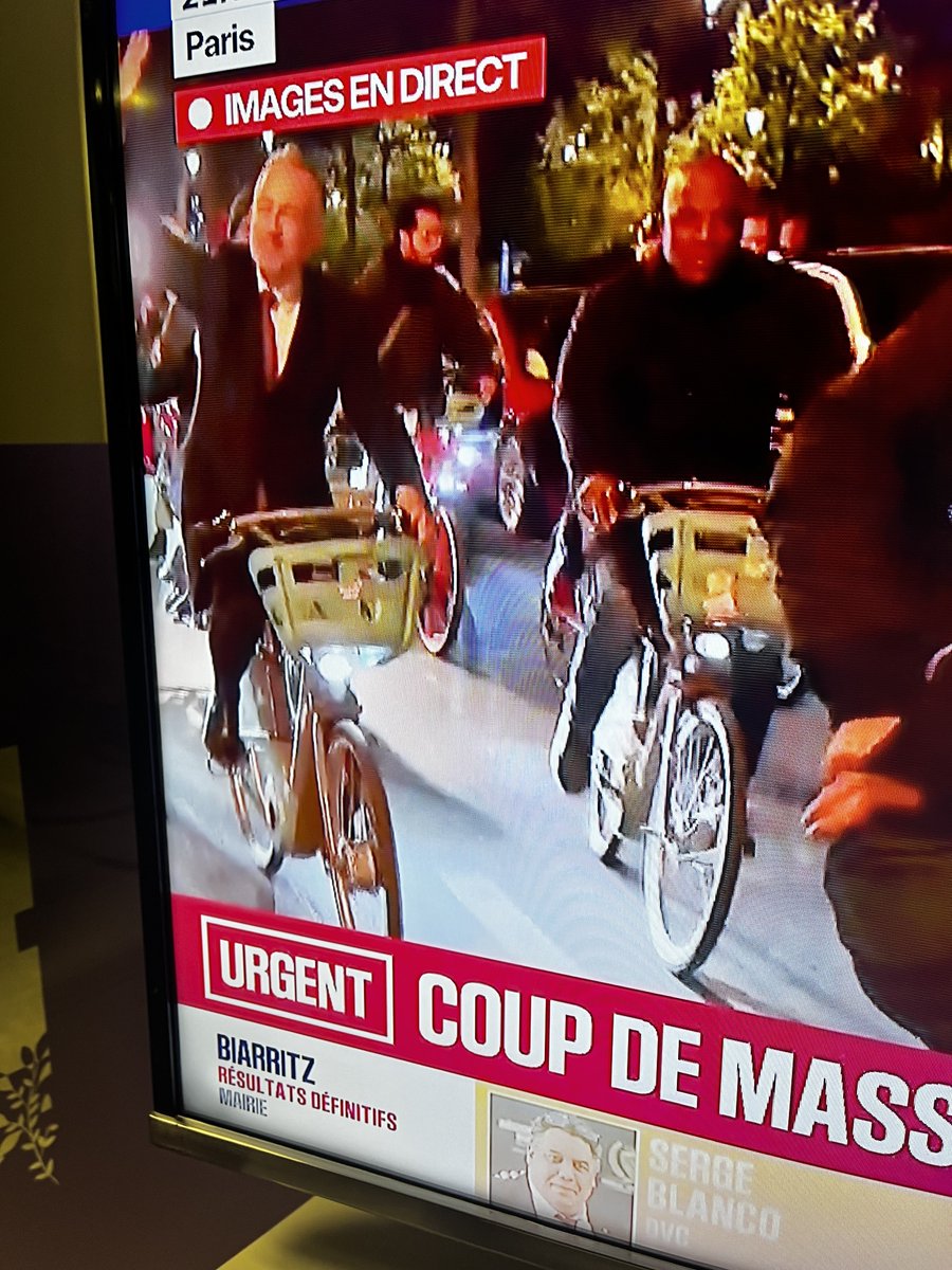 AlessandraDeStefano tweet media