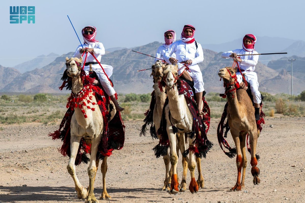 محمد آل فيه tweet media