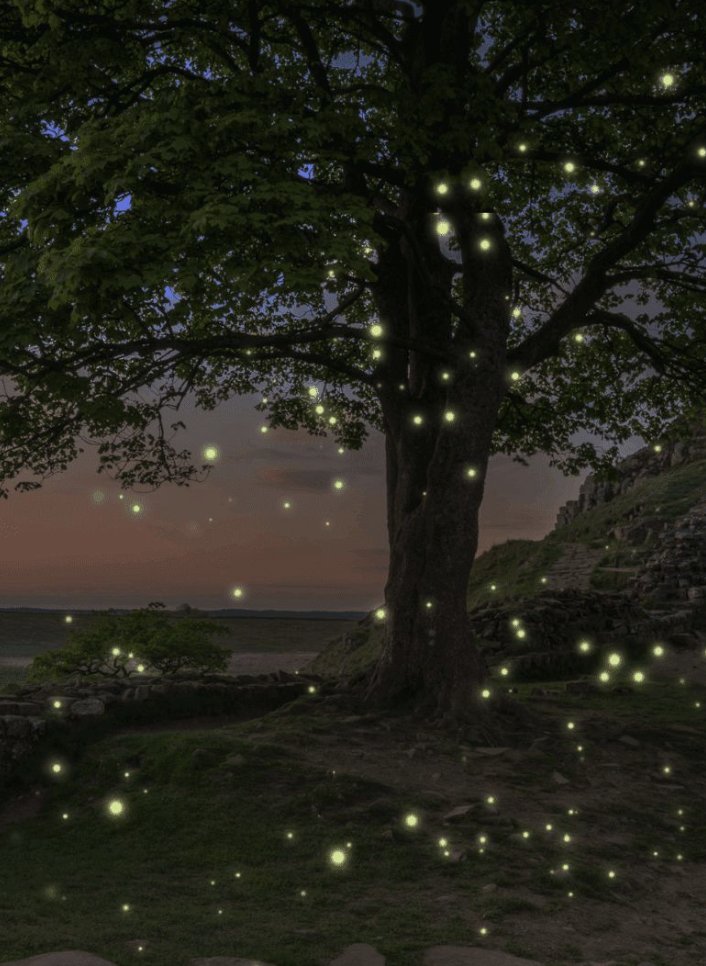eunyxxng's tweet photo. you may think demons wouldn't understand the intricacies and importance of a season change, but the transition into spring is deep-rooted in all underworld lore. something unspoken, but cherished and respected. with this in mind and her date by her side
            #TheFirstBloom https://t.co/lSmZwmlQsw