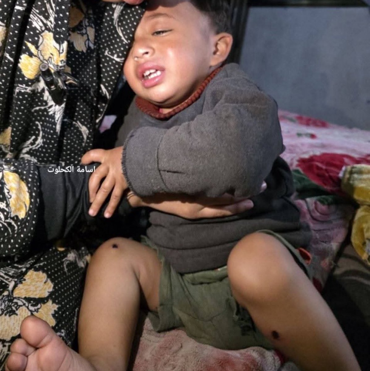 Mohamad Safa tweet media