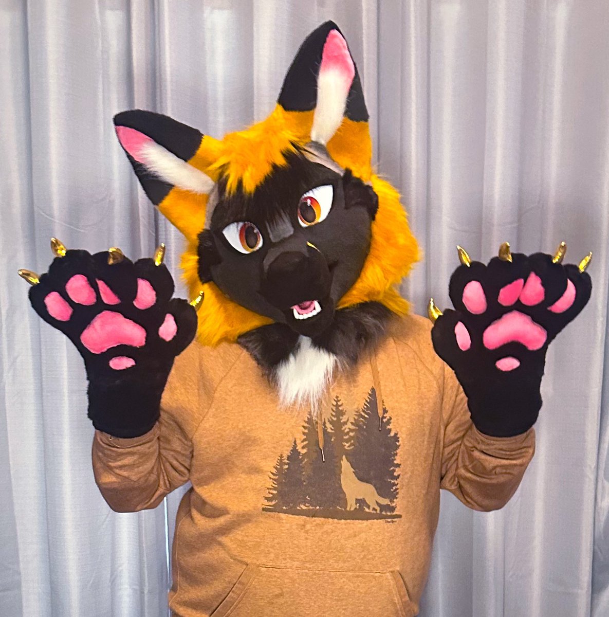 Fleeting Fennec tweet media