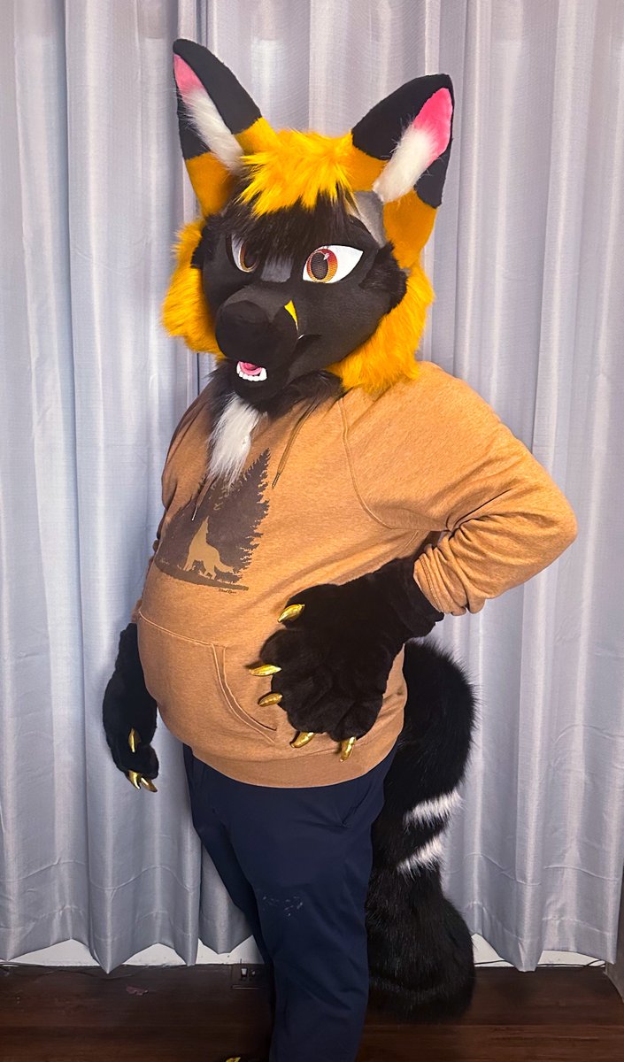 Fleeting Fennec tweet media