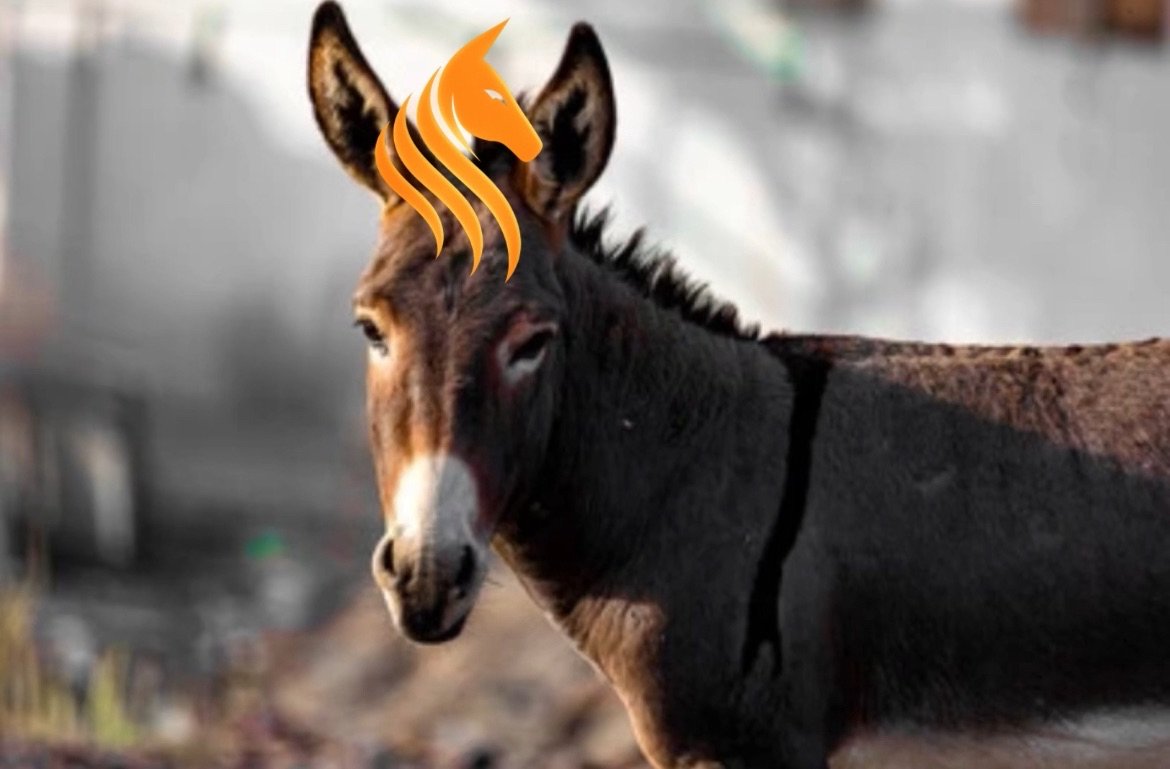 𝙈𝙄𝙊𝙈𝙉 tweet media