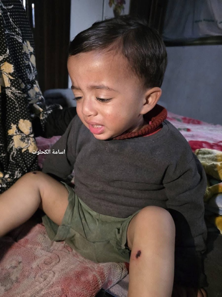 Gaza Notifications tweet media