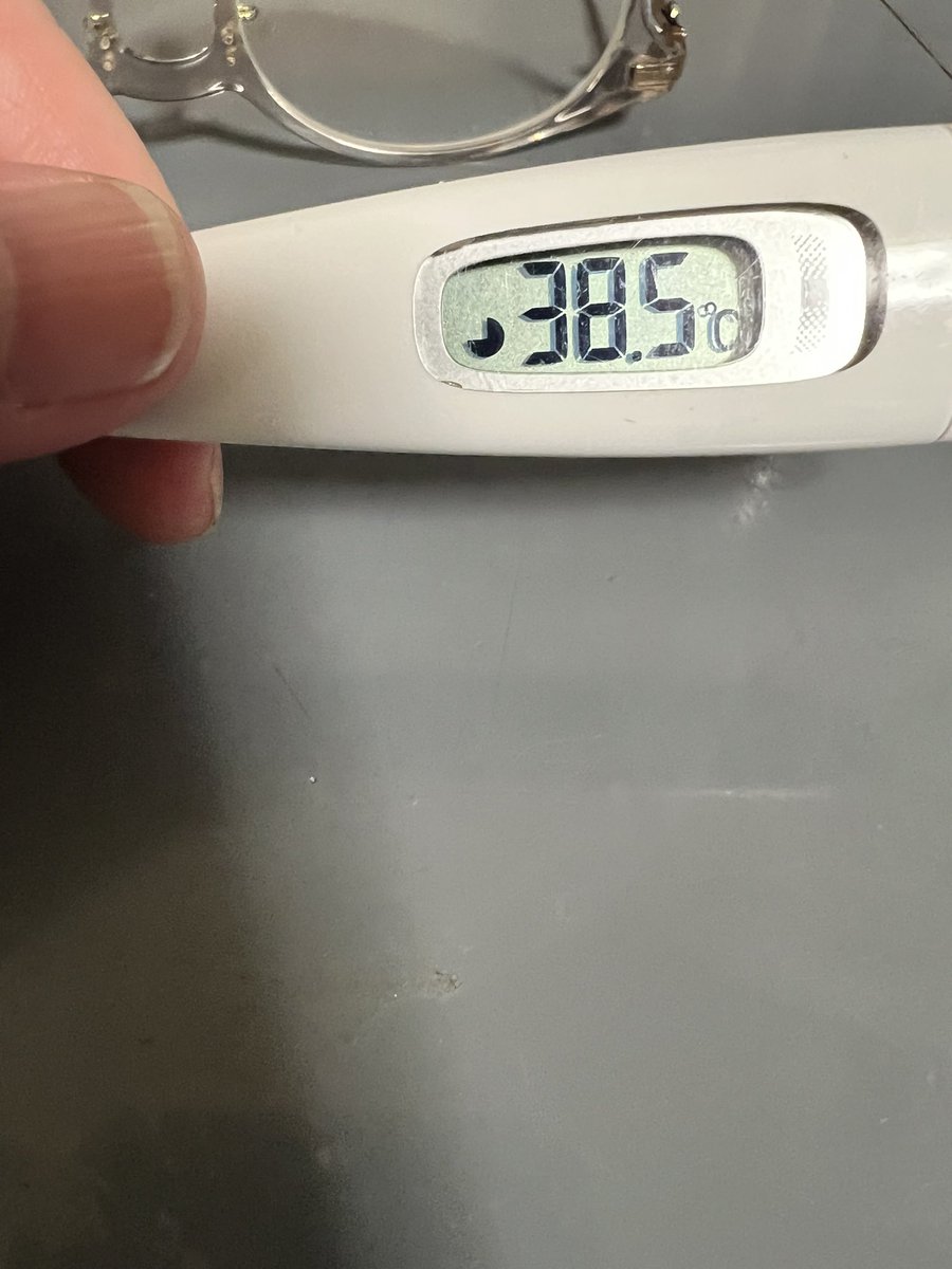 こつぶ tweet media