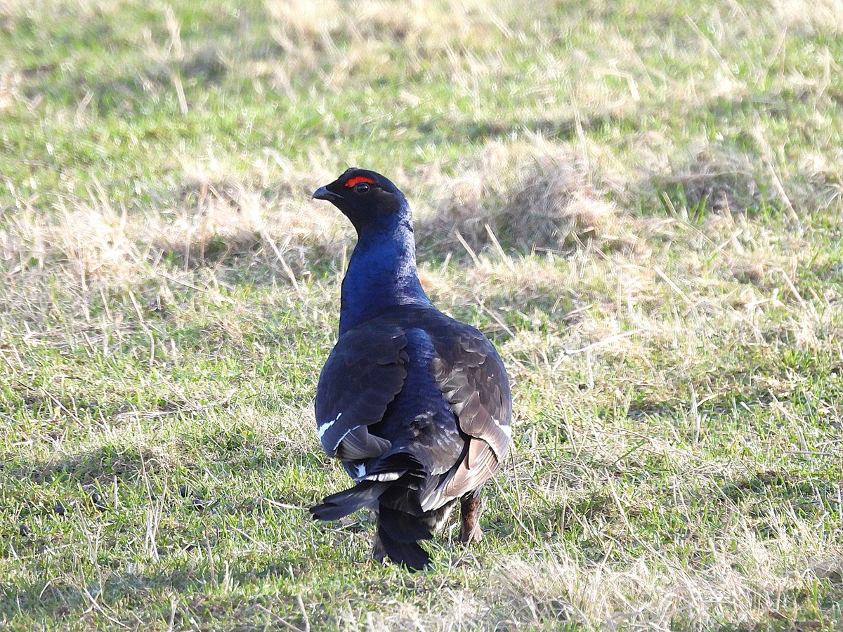 Andy Paton @andypaton.bsky.social tweet media