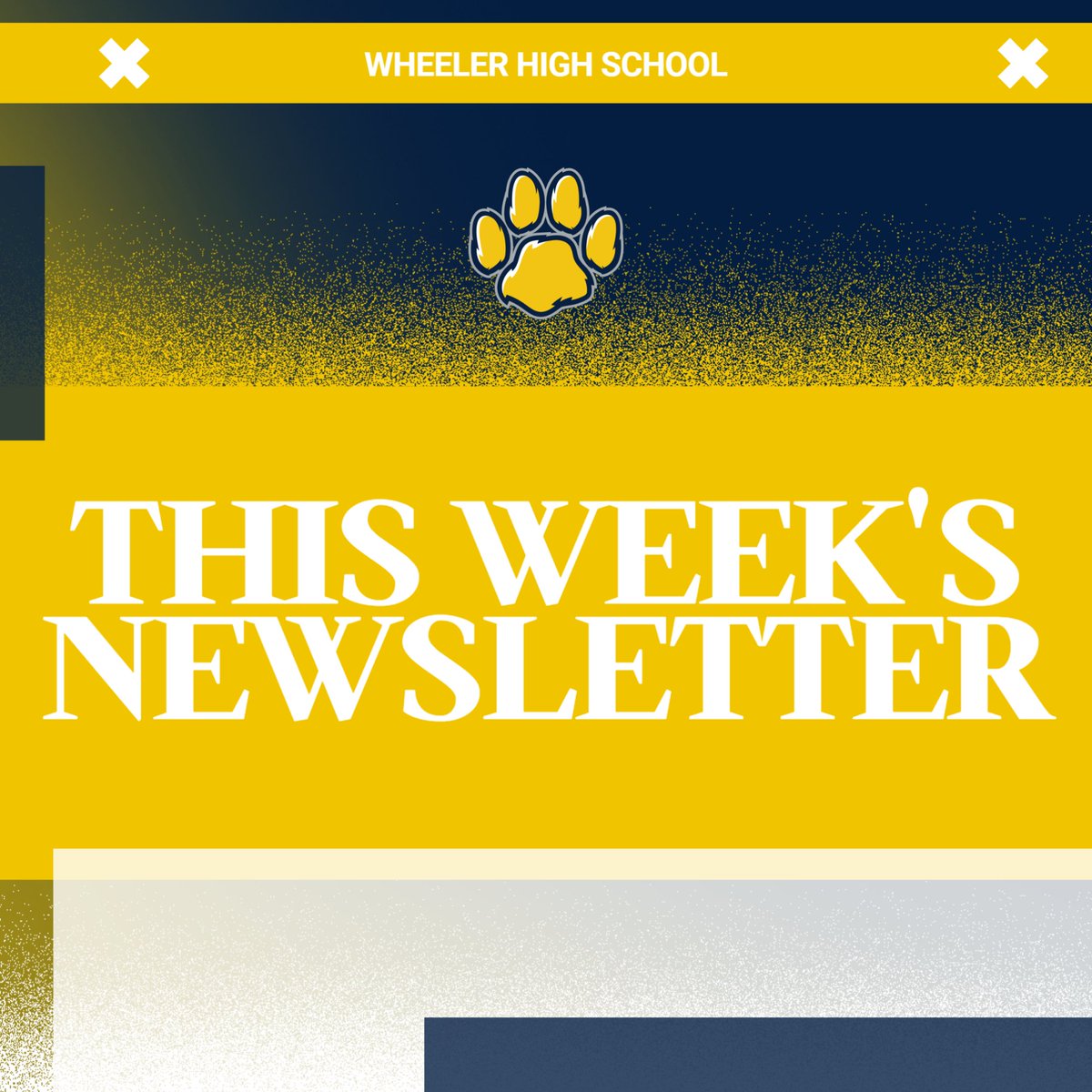 Sara Fetterman tweet media