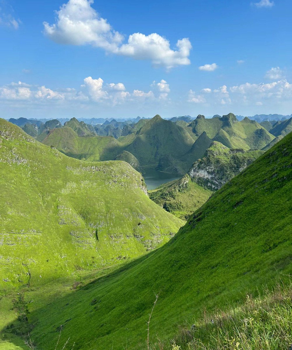 April Ard tweet media