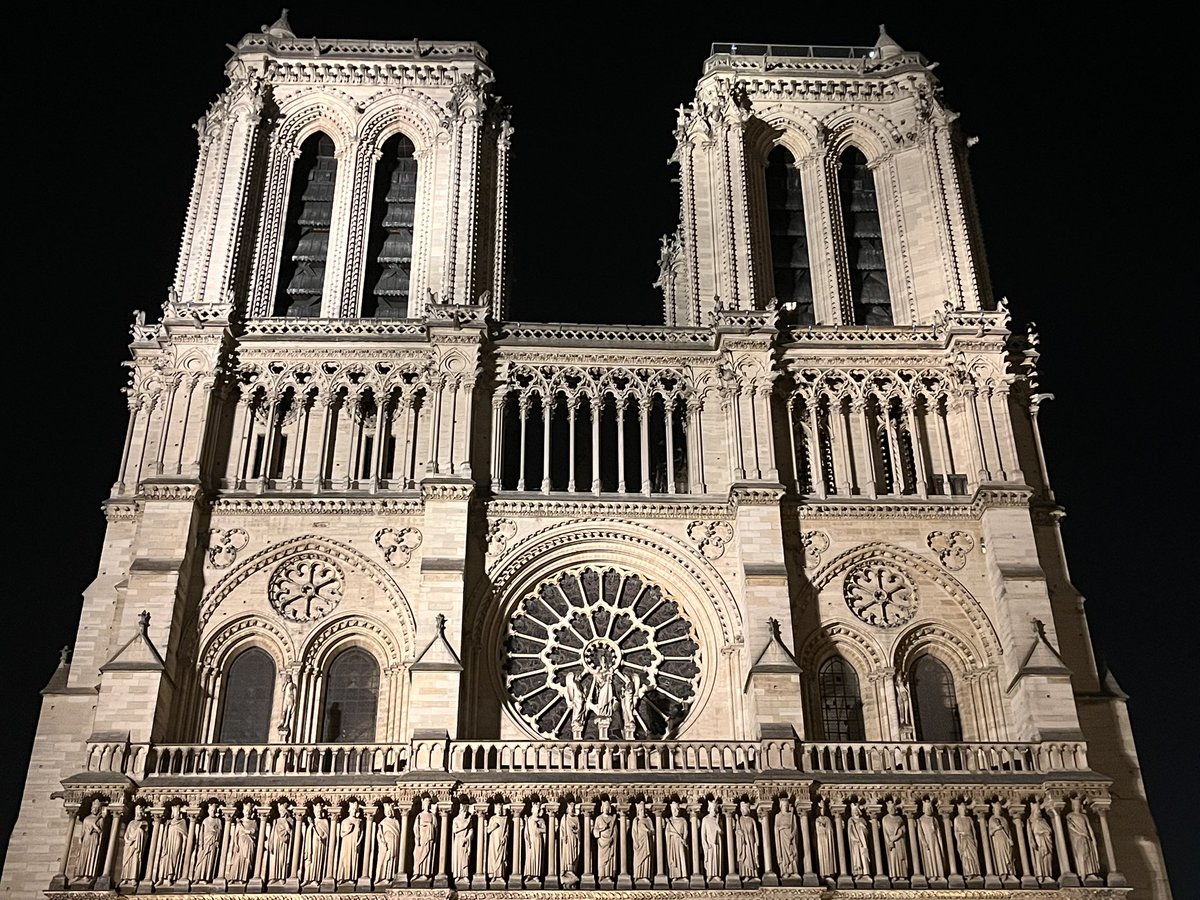 🐜🐜🐜 tweet media