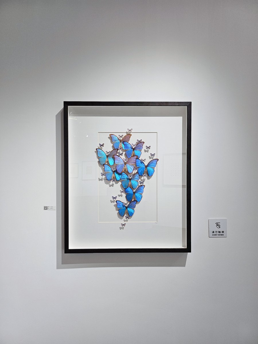 Rochelle Jordan tweet media