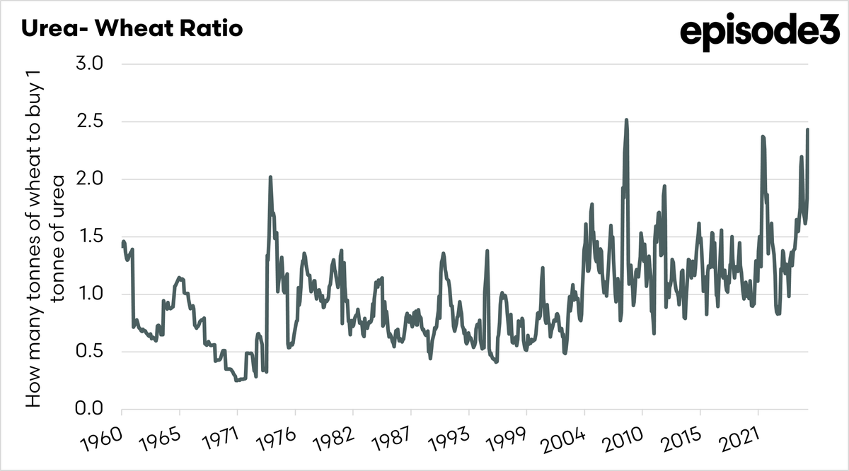 Andrew Whitelaw tweet media