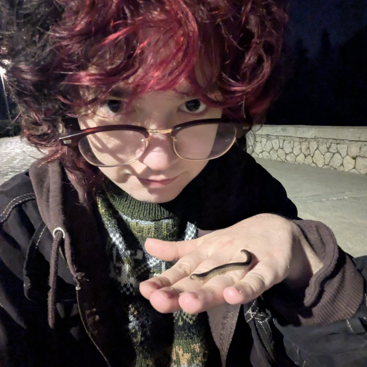 rio 🪲 bug oomf tweet media