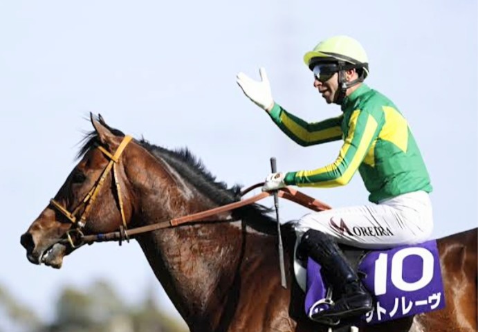 真垢馬２ tweet media