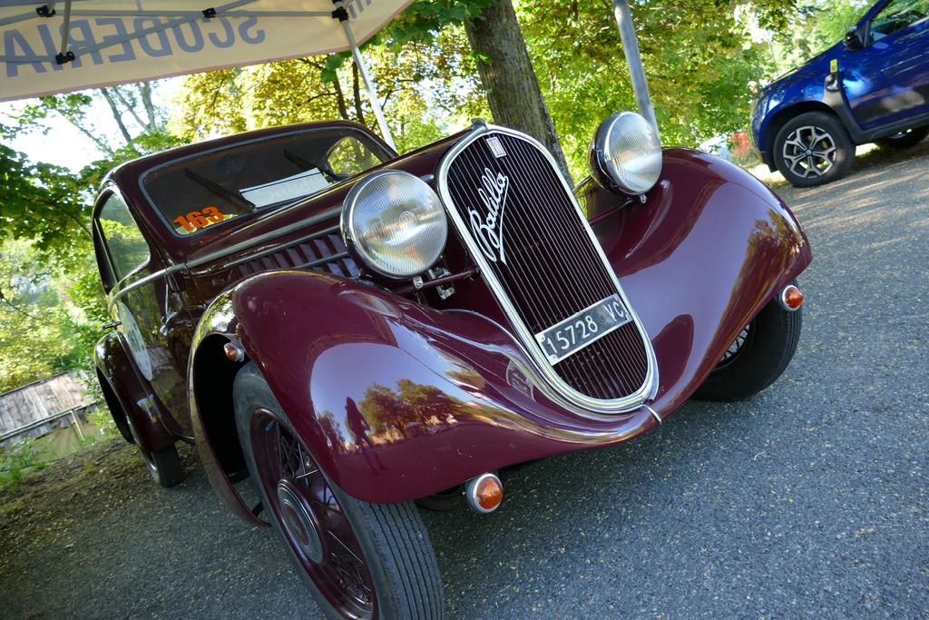 PRIMO 34004 RACING PHOTOS & VIDEOS tweet media