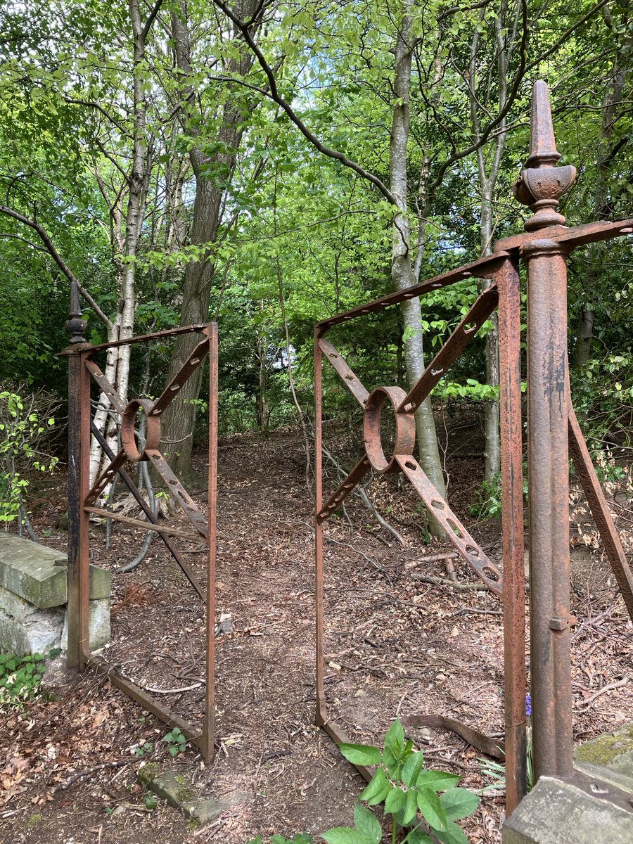 Steven Robb tweet media