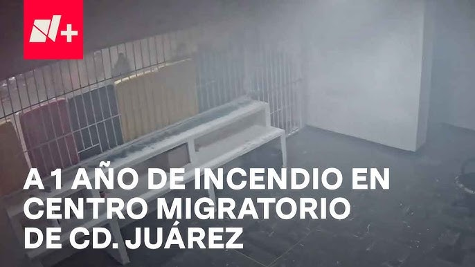 Steve Austin tweet media