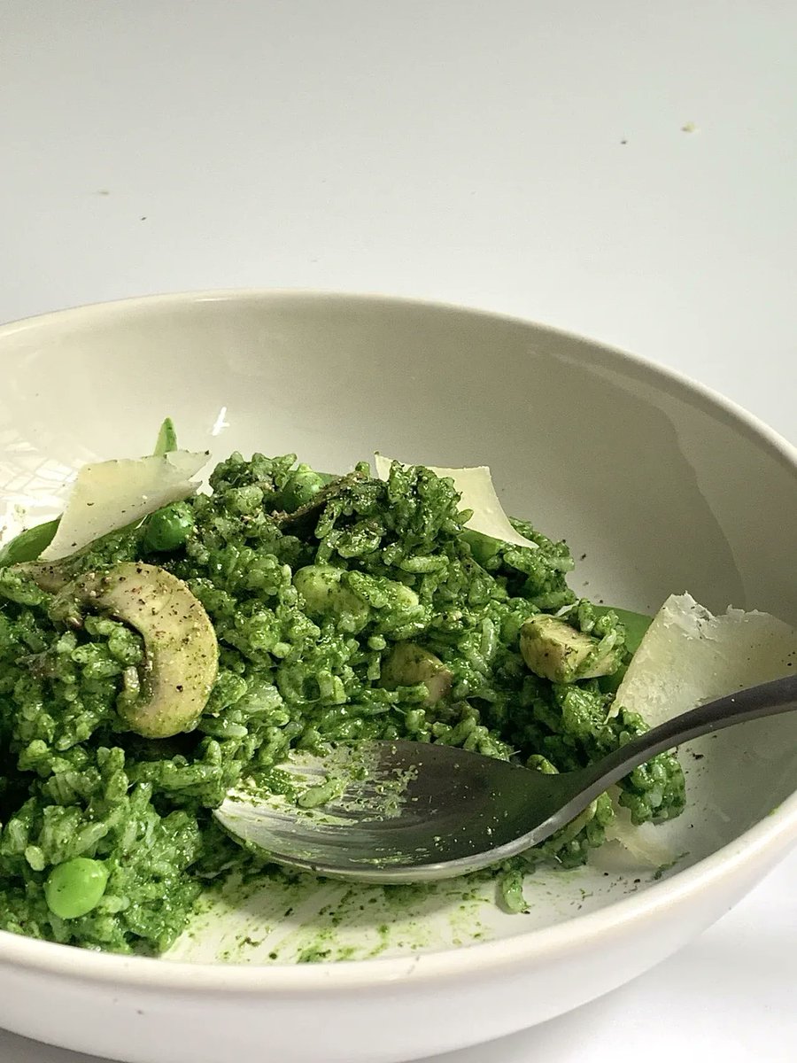 macy lynn mccoy tweet media